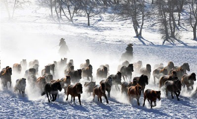 harbin