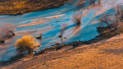 steppe mongole