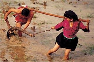 longji
