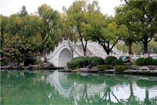 Lago di Ficus