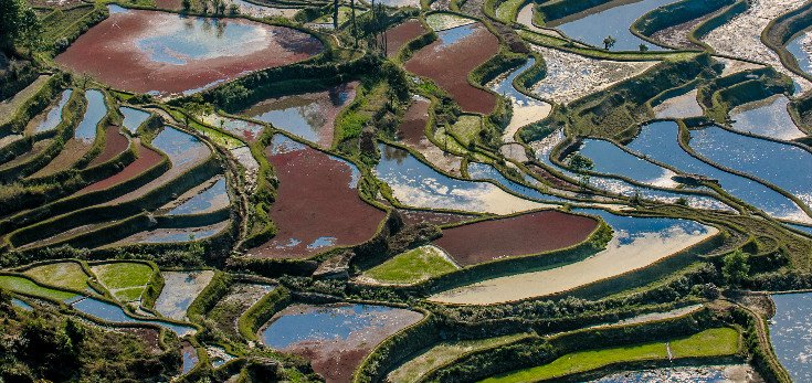 yuanyang risaie a terrazze