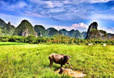 la campagna di Yangshuo
