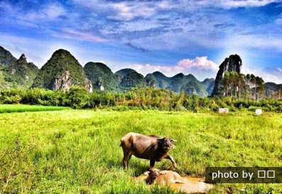 campagna di Yangshuo