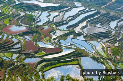 risaie a terrazze di Yuanyang