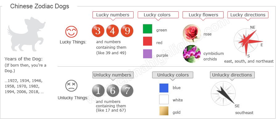 oroscopo cinese cane