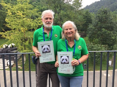 Programma volontariato panda