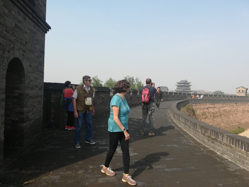 pagoda della grande oca selvatica