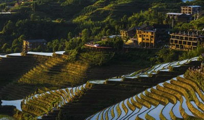 risaie Longsheng Guilin