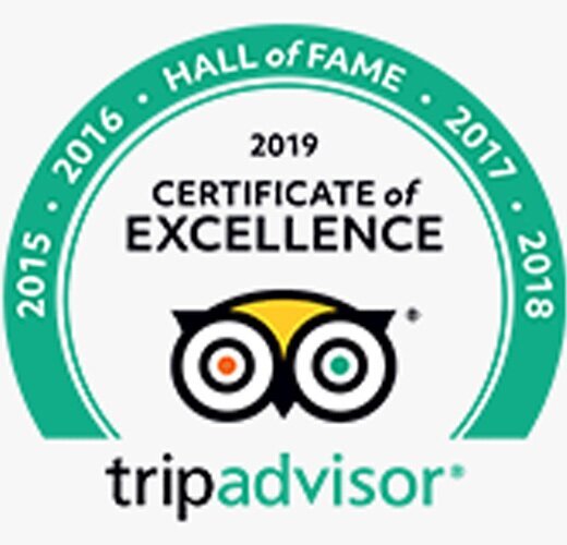 TA certificate of excellence 2015-2019